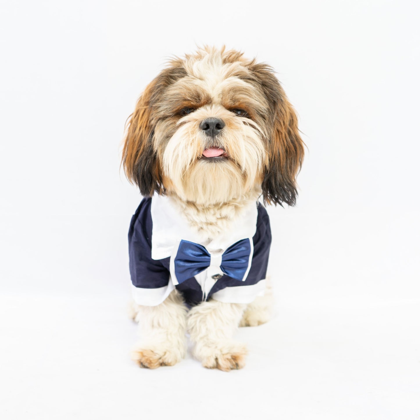 Navy Blue Tuxedo | For Dogs | Pawgy Pets