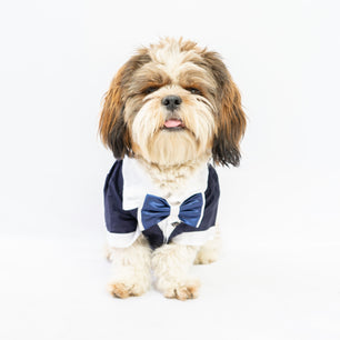 Pawgy Pets Tuxedo: Navy Blue for Dogs & Cats