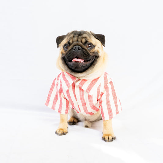 Candy cane stripes Shirt