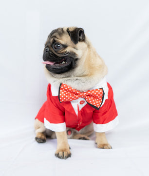 Pawgy Pets Tuxedo: Red for Dogs & Cats