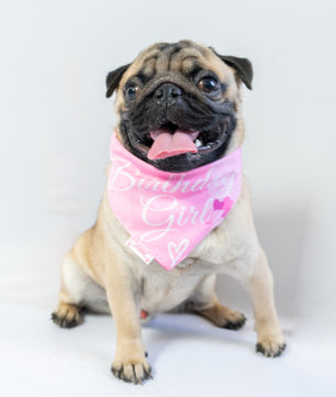 Pawgy Pets Reversible Birthday Girl Bandana for Dogs & Cats