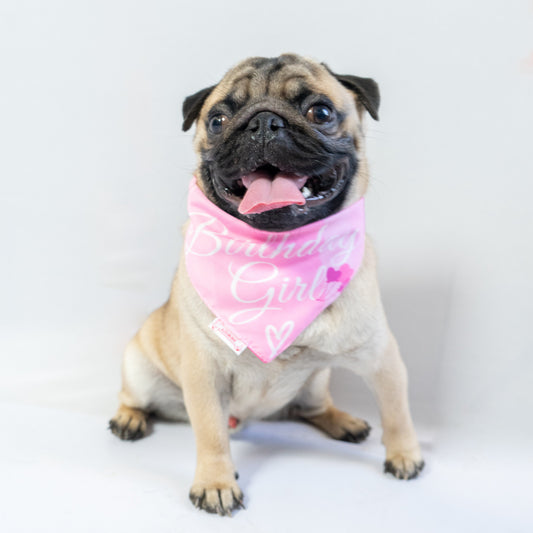 Pawgy Pets Reversible Birthday Girl Bandana for Dogs & Cats