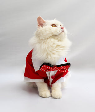 Pawgy Pets Tuxedo: Red for Dogs & Cats