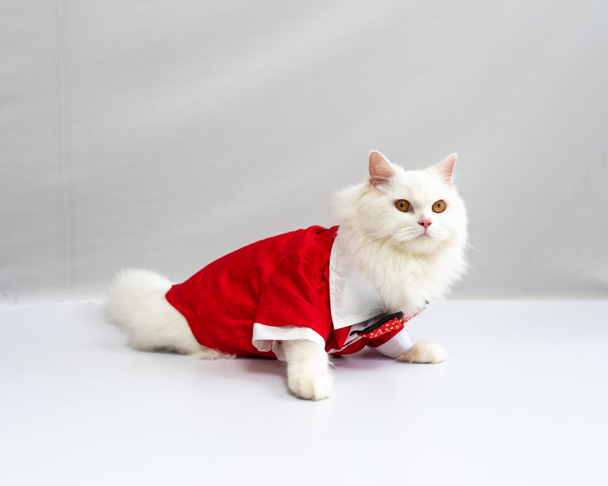 Pawgy Pets Tuxedo: Red for Dogs & Cats