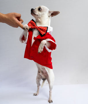 Pawgy Pets Tuxedo: Red for Dogs & Cats
