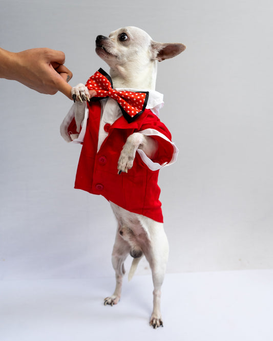 Red Tuxedo | For Dogs | Pawgy Pets