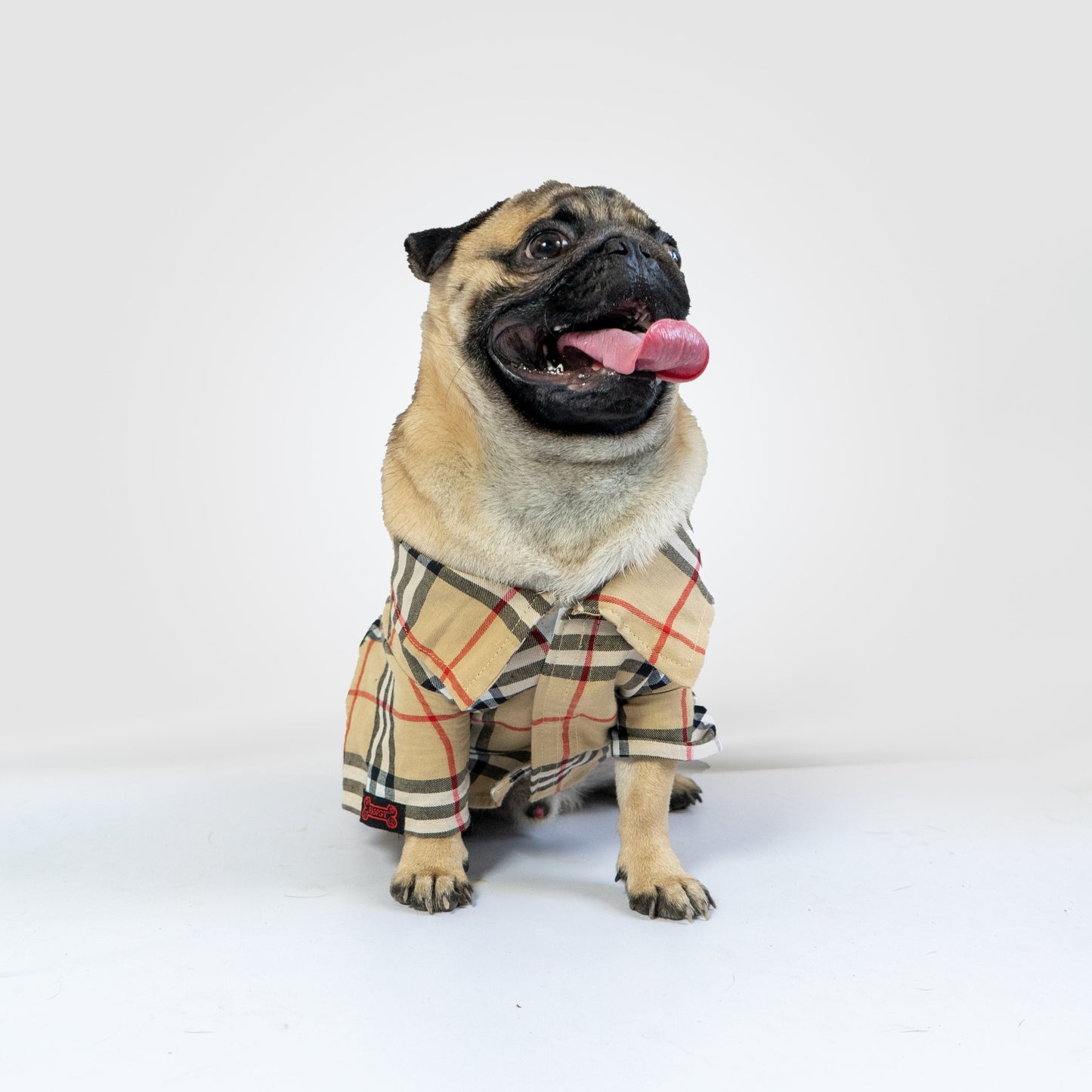 Pawgy Pets Beige Checks Shirt/Sando for Dogs