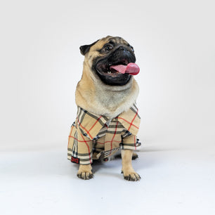 Pawgy Pets Beige Checks Shirt/Sando for Dogs for Dogs