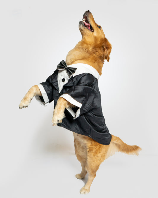 Pawgy Pets Personalised Tuxedo for Dogs & Cats