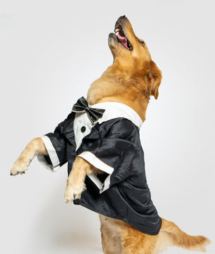 Pawgy Pets Tuxedo: Black for Dogs & Cats