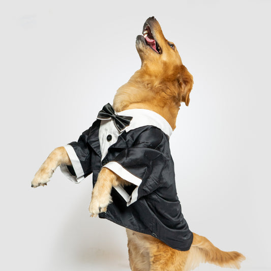 Pawgy Pets Tuxedo: Black for Dogs & Cats