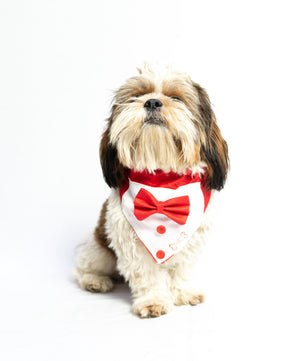 Pawgy Pets Tuxedo Bandana: Red for Dogs & Cats
