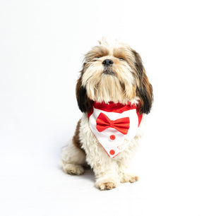 Pawgy Pets Tuxedo Bandana: Red for Dogs & Cats