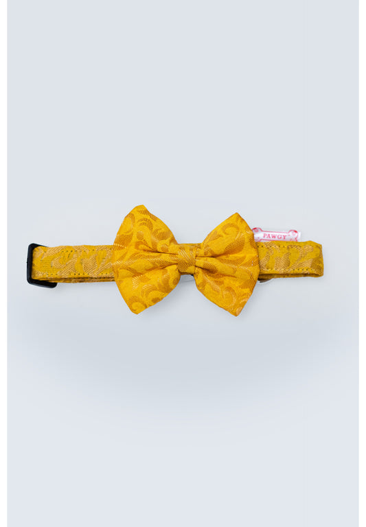 Pawgy Pets Occasion wear Bow Collar: Yellow for Dogs & Cats