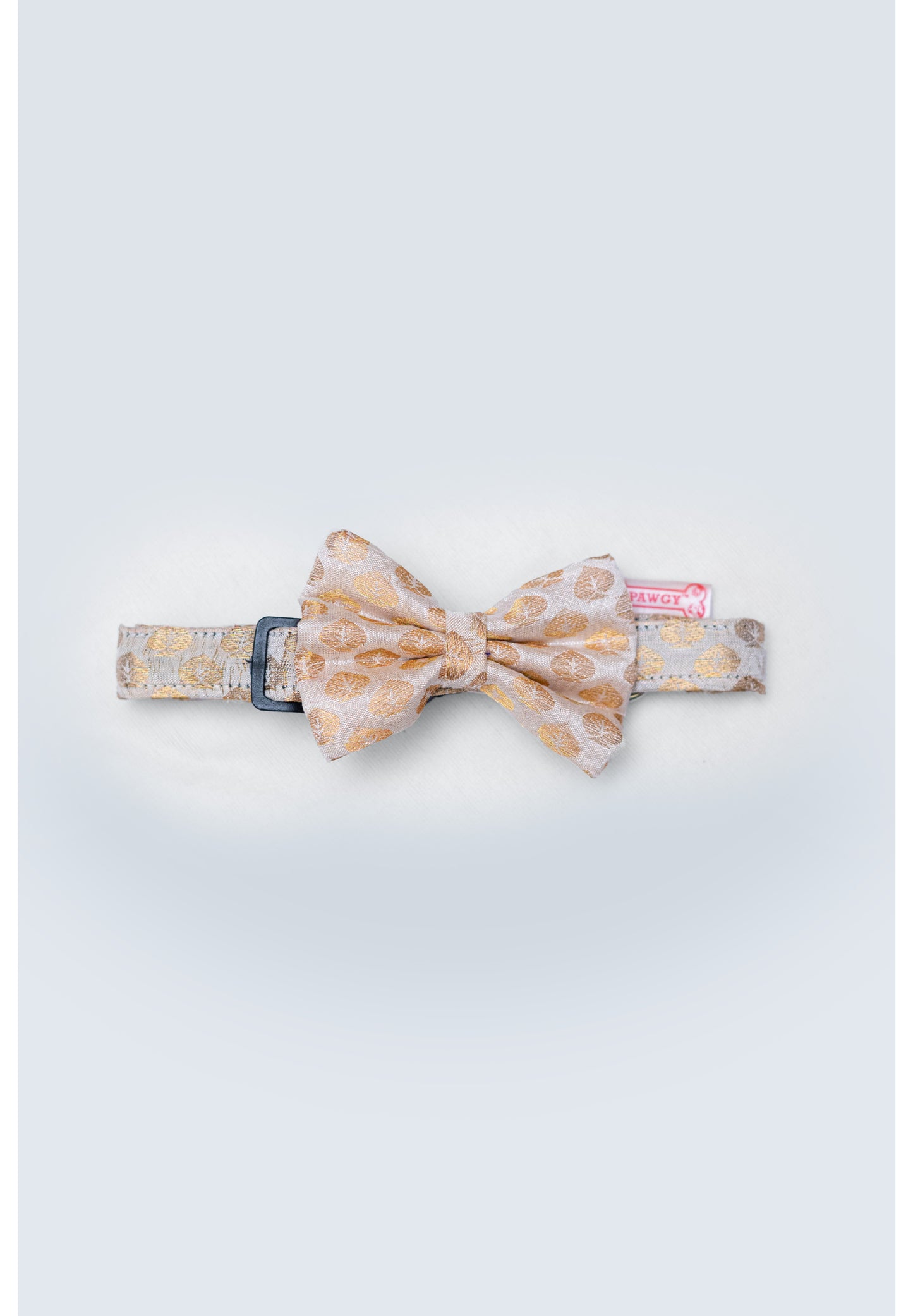 Pawgy Pets Occasion wear Bow Collar: White