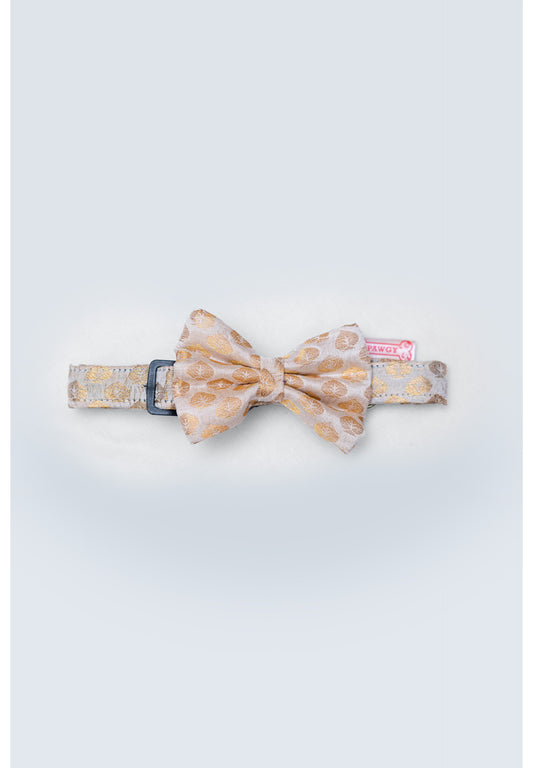Pawgy Pets Occasion wear Bow Collar: White