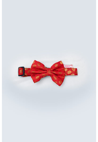 Pawgy Pets Occasion wear Bow Collar: Red for Dogs & Cats
