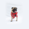 Red Waistcoat Tuxedo Bandana | For Dogs & Cats | Pawgy Pets