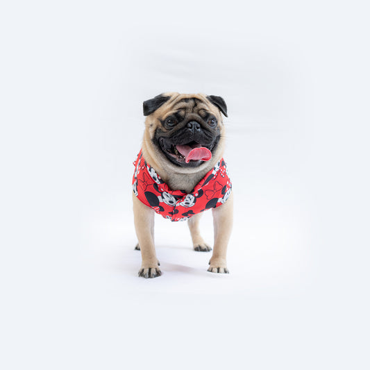 Pawgy Pets Mickey Sando/Tshirt Red for Dogs