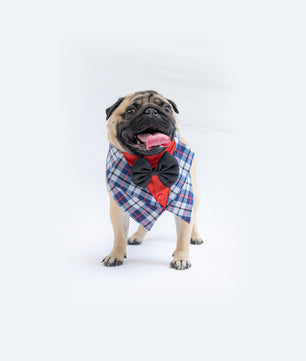 Pawgy Pets Waistcoat Tuxedo Bandana for Dogs & Cats