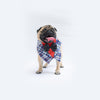 Blue Waistcoat Tuxedo Bandana | For Dogs & Cats | Pawgy Pets