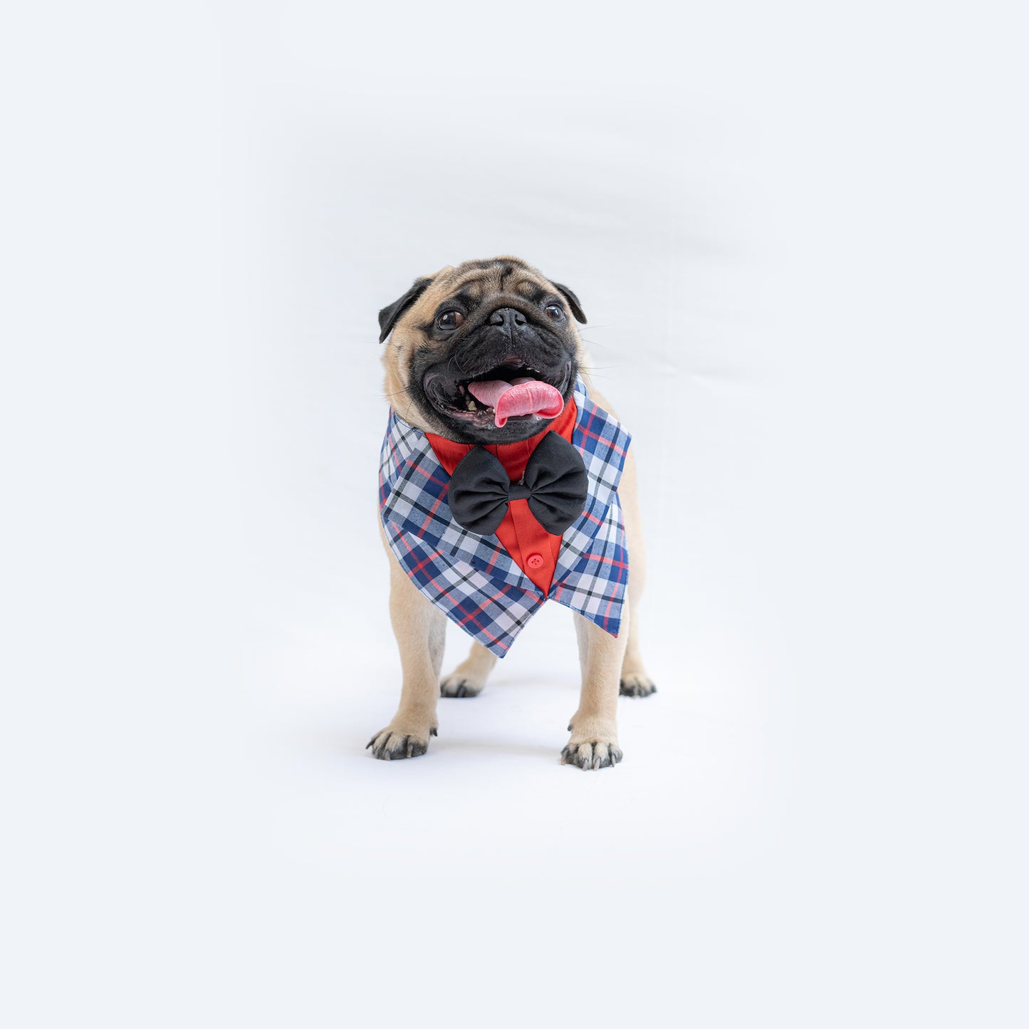 Pawgy Pets Waistcoat Tuxedo Bandana for Dogs & Cats