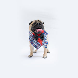 Blue Waistcoat Tuxedo Bandana | For Dogs & Cats | Pawgy Pets