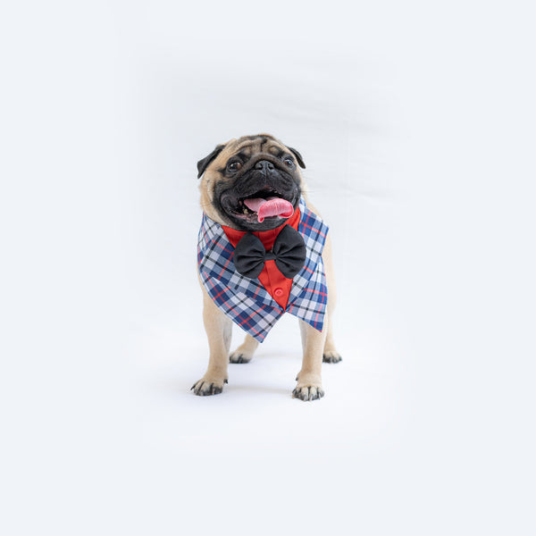 Blue Waistcoat Tuxedo Bandana | For Dogs & Cats | Pawgy Pets
