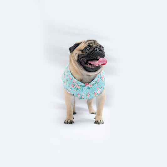 Pawgy Pets Floral Sando for Dogs