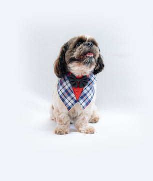 Pawgy Pets Waistcoat Tuxedo Bandana for Dogs & Cats