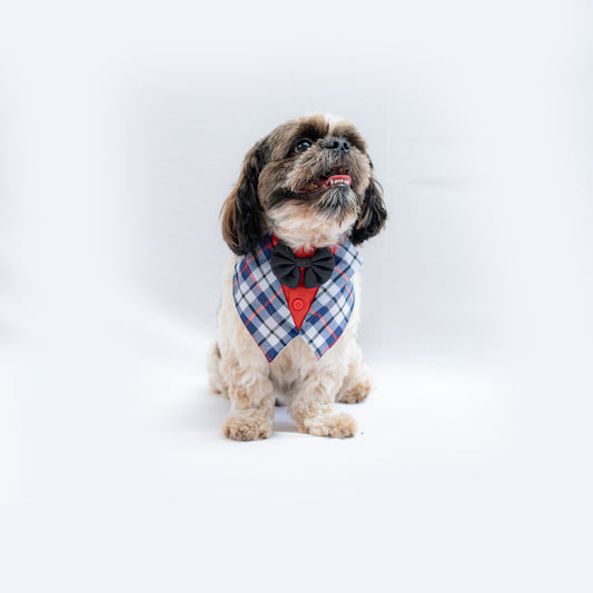 Pawgy Pets Waistcoat Tuxedo Bandana for Dogs & Cats