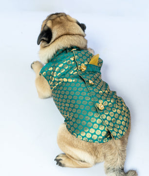 Pawgy Pets Sherwani Teal for Dogs
