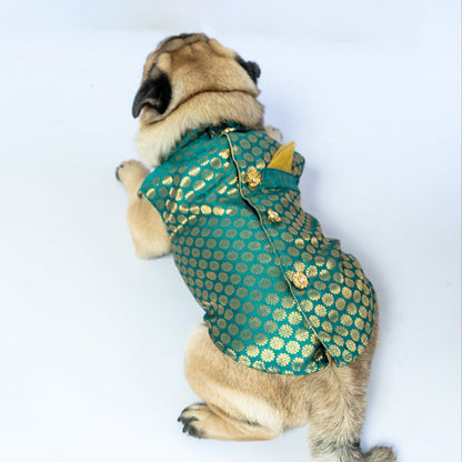 Teal Sherwani | For Dogs | Pawgy Pets