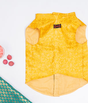 Pawgy Pets Sherwani Yellow for Dogs