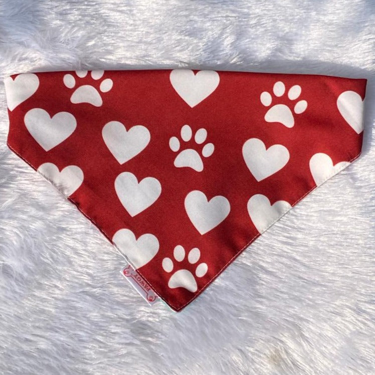 Pawgy Pets Reversible Birthday Bandana for Dogs & Cats