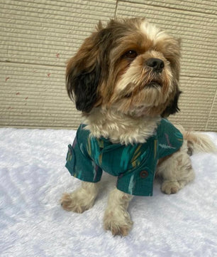 Pawgy Pets Ikkat Kurta: Peacock green for Dogs