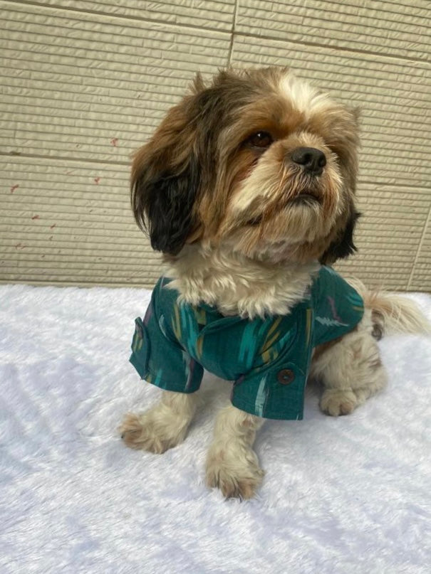 Pawgy Pets Ikkat Kurta: Peacock green for Dogs