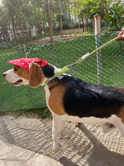 Red Polka Cap | For Dogs | Pawgy Pets