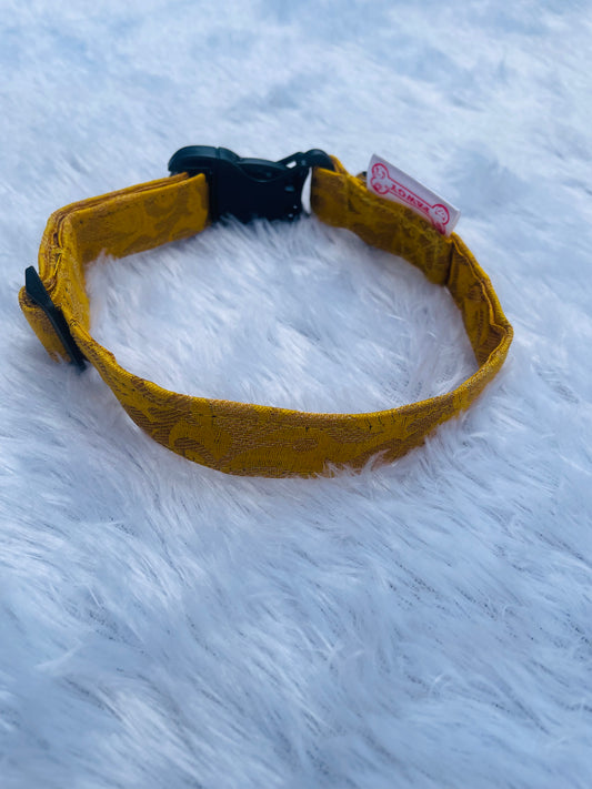 Pawgy Pets Occasion wear Collar: Yellow for Dogs