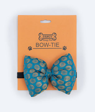 Pawgy Pets Occasion wear Bowtie: Blue for Dogs & Cats