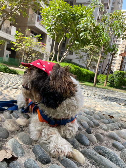 Red Polka Cap | For Dogs | Pawgy Pets