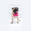 Pink Occasion Wear Bowtie | For Dogs & Cats | Pawgy Pets