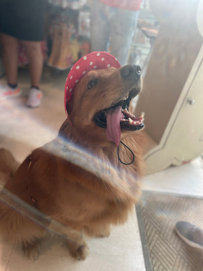 Red Polka Cap | For Dogs | Pawgy Pets