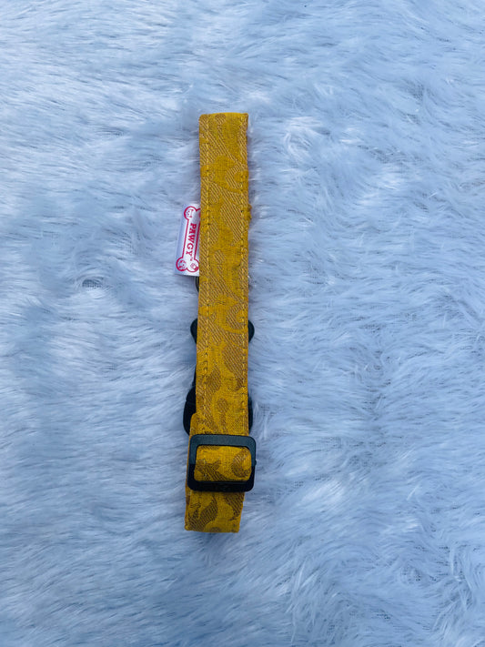 Pawgy Pets Occasion wear Collar: Yellow for Dogs