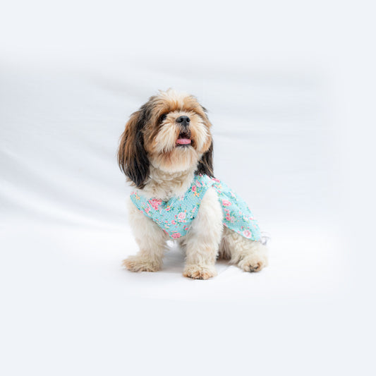 Pawgy Pets Floral dress Blue for Dogs